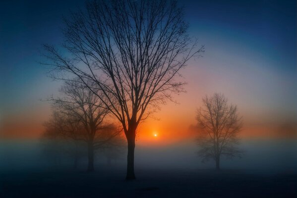 Alba d autunno nella nebbia