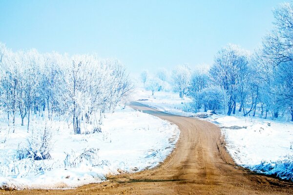 The way in winter. Snow-covered trees