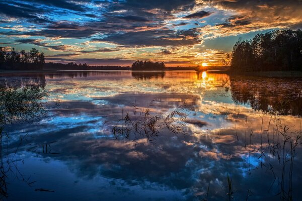 Reflet des arbres et du ciel dans l eau