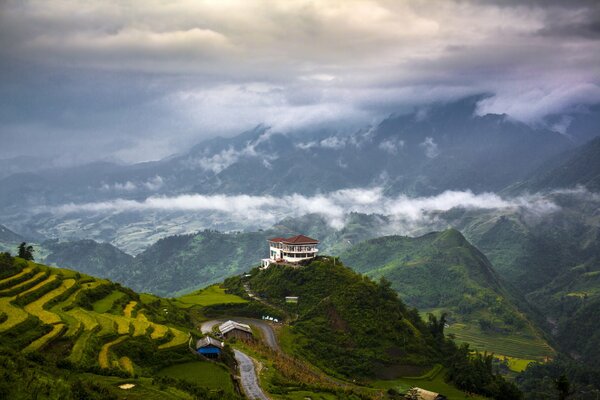 Tea plantation. Mountains to the sky