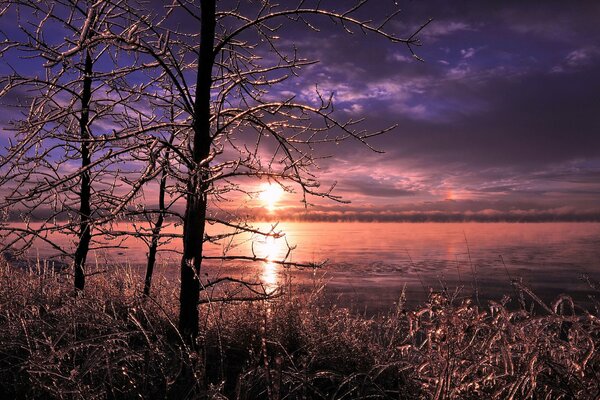 Tramonto nella foresta ghiacciata vicino al lago