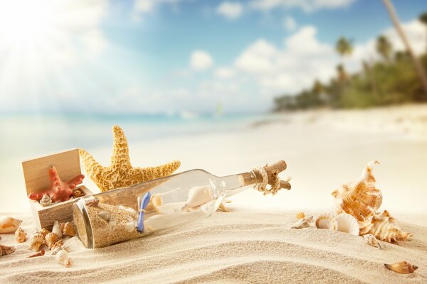 Eine Flasche mit einer Botschaft auf dem weißen Sand eines Strandes am Meer. Seesterne. Muscheln