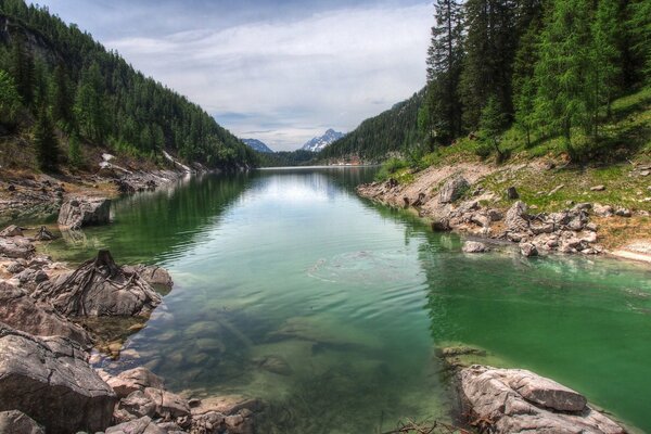 Ein transparenter Bergfluss mit erstaunlicher Natur, Wäldern und großen Steinen