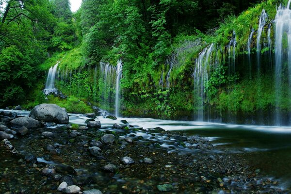 Калифорнийские водопады. Много зелени