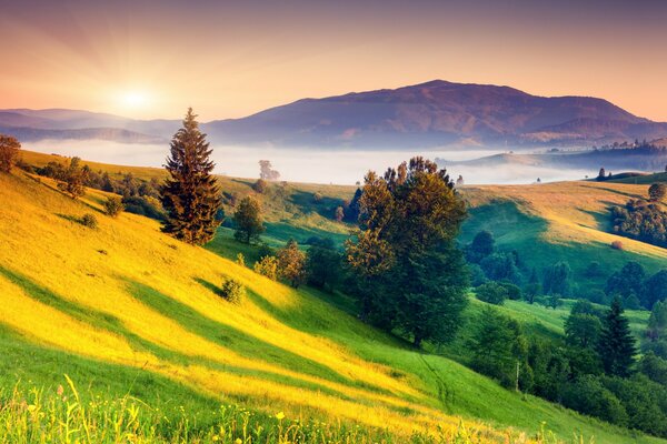 Alberi e colline illuminano i raggi del sole che sorge