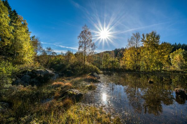 Ein See im Wald als seltenes Juwel