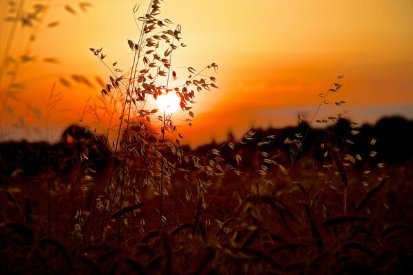 Puesta de sol verano