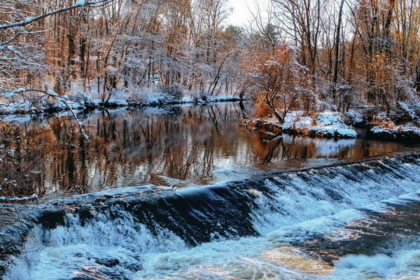 Flusso del fiume invernale nella foresta