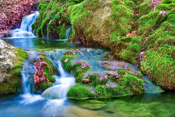 Fiume tra pietre e foglie