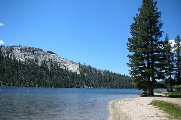 Naturaleza del parque nacional de Yosemite