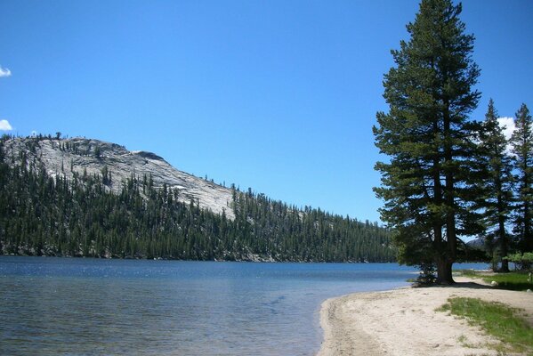 Nature du parc National de Yosemite