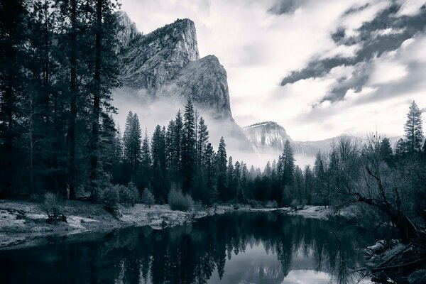 Landscape Yosemite National Park