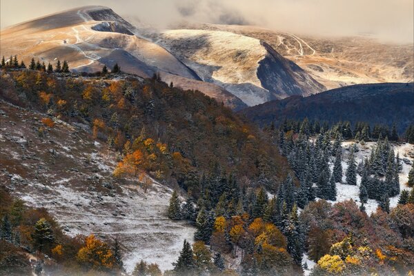 Paesaggio autunnale. Colori di autunno