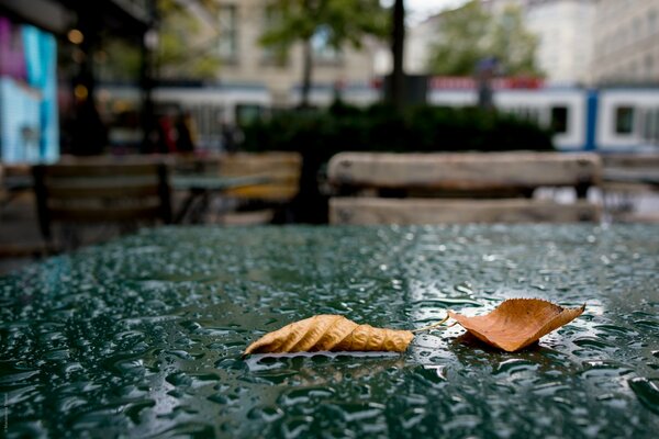 Zwei trockene Herbstblätter liegen auf dem vom Regen nassen Tisch eines Straßencafés