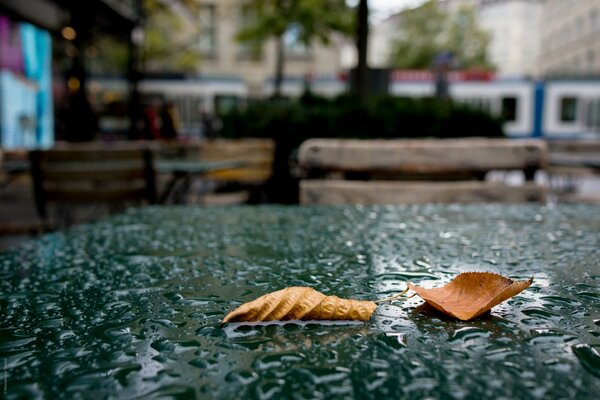 Deux feuilles d automne sèches reposent sur une table de café de rue mouillée par la pluie
