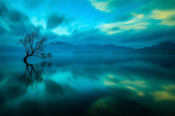 Splendore della natura. Bellezza infinita