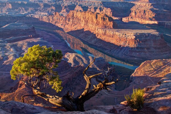 Montañas Utah naturaleza montañas Zkak