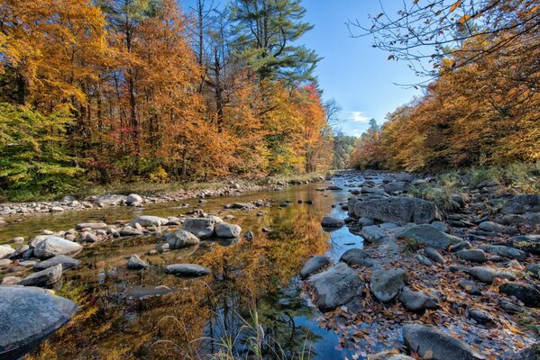 Fluss mit Steinen im Herbst im Wald