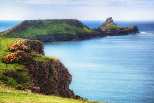 A green glade on a cliff by the sea