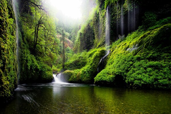 Naturaleza primaveral. Cascada en Estados Unidos