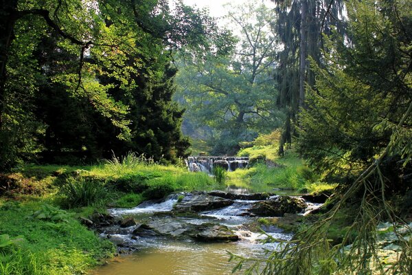 Cascata e fiume nella foresta con una bellezza unica