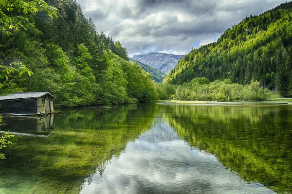 Mountain lake among green trees