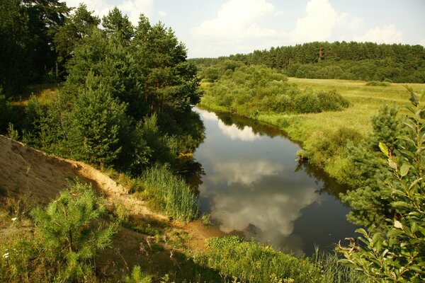 Herbe verte, arbres et rivière