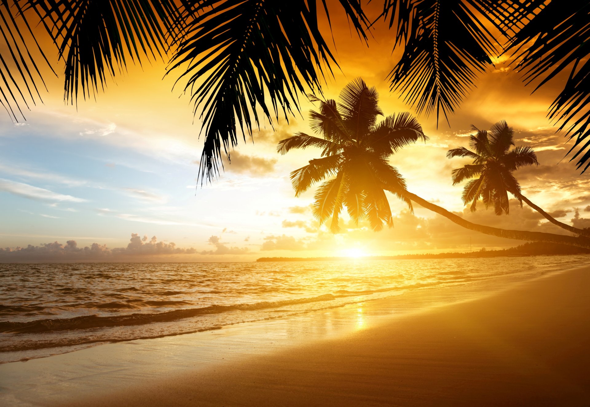 tropical sunset paradise beach coast sea ocean palm summer sand tropics coast palm tree