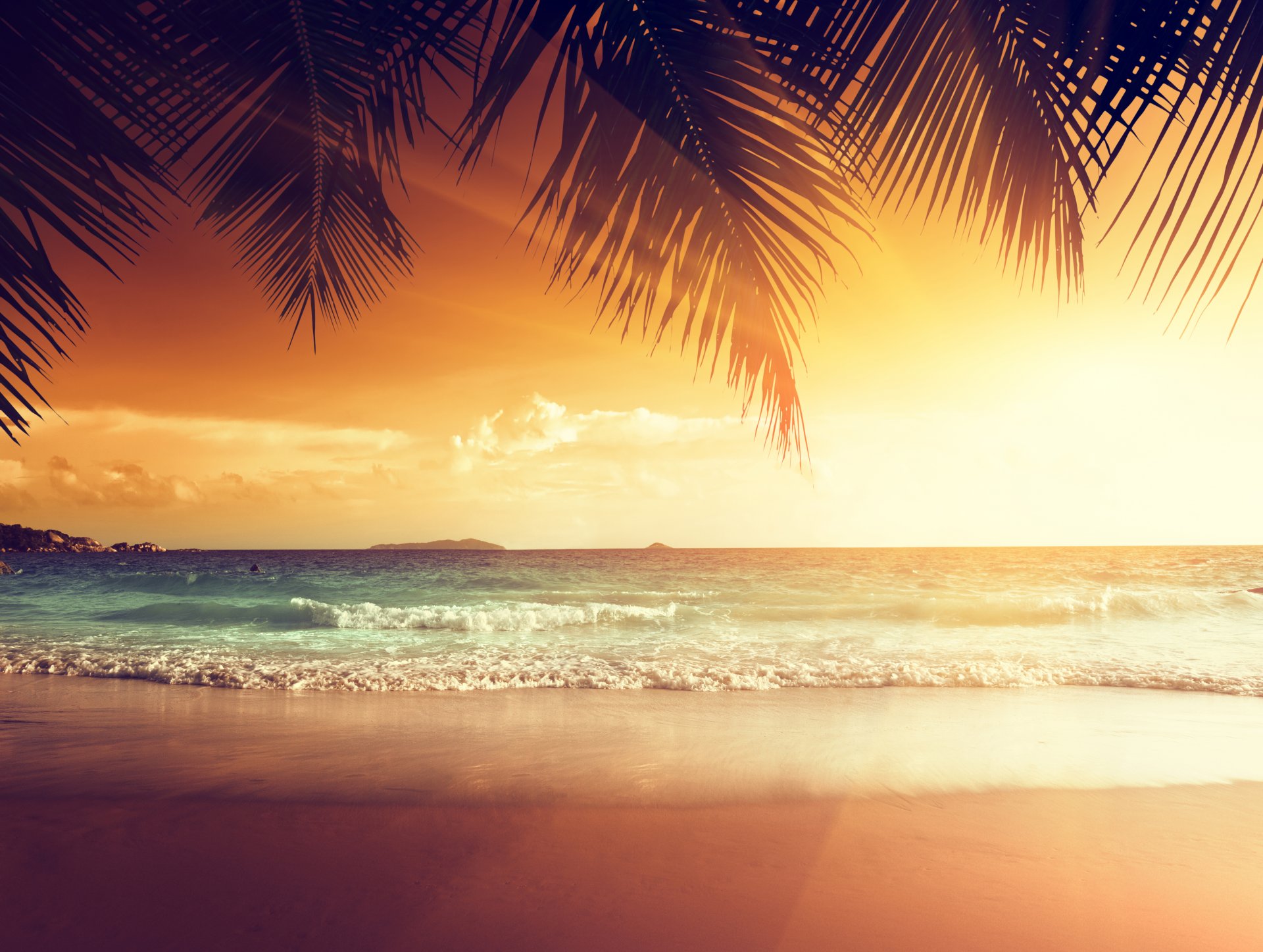 tropical sunset paradise beach coast sea ocean palm summer sand tropics coast palm tree