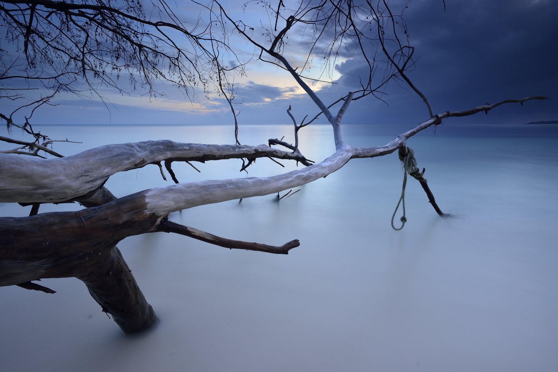 eychelles archipelago praslin island ocean beach clouds tree