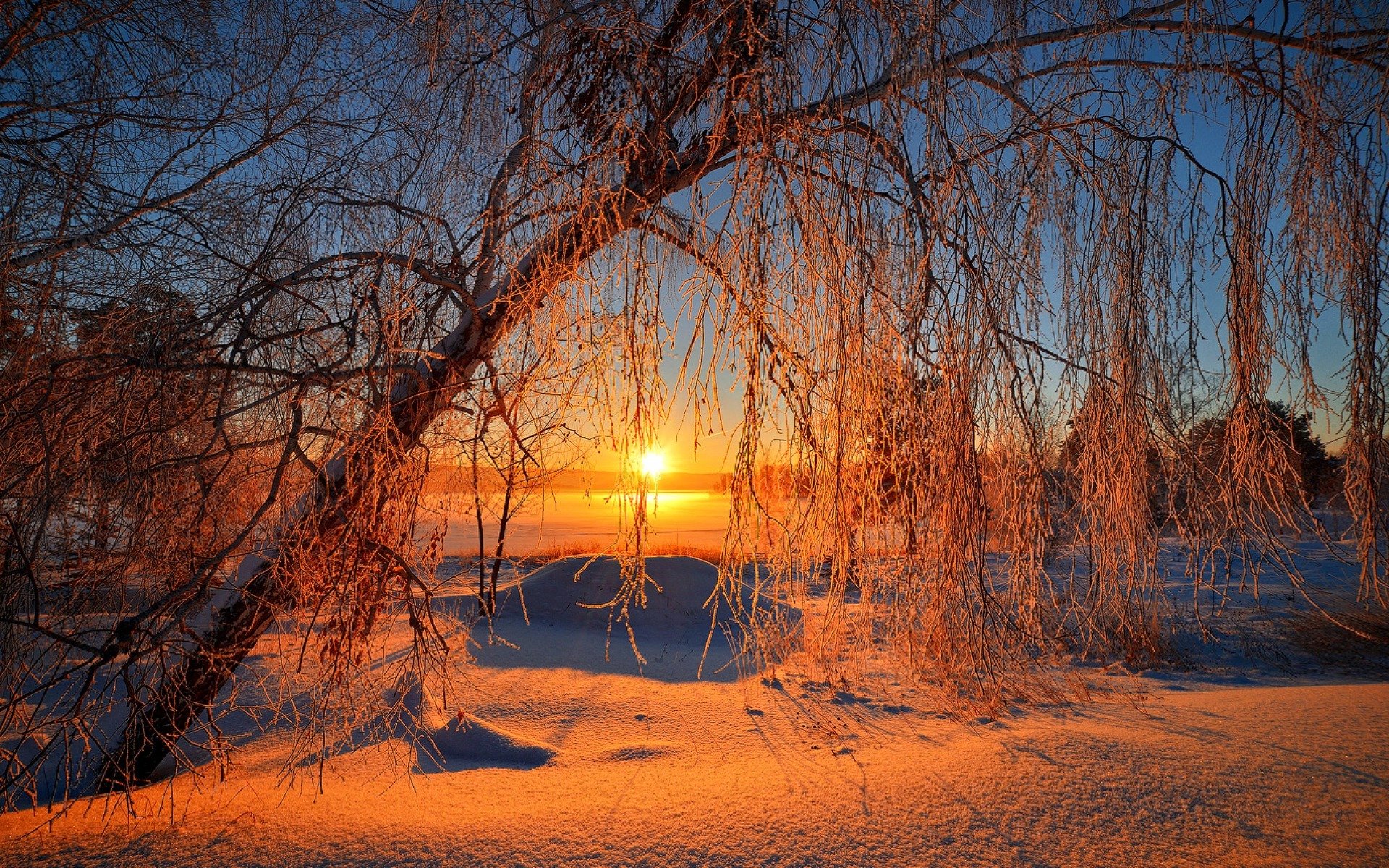 natura cielo sole inverno paesaggio alba neve alberi