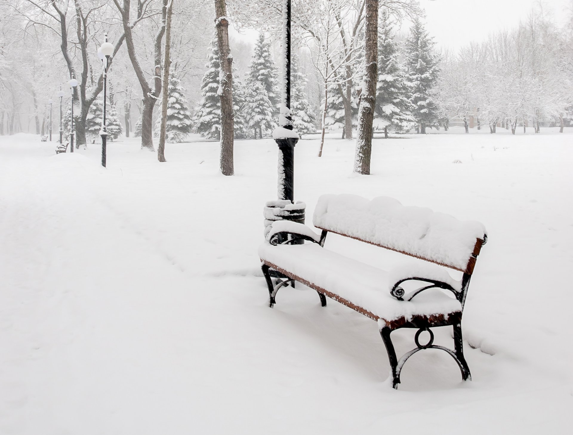 ławka ławka ławka ławka aleja park drzewa latarnie natura śnieg zima