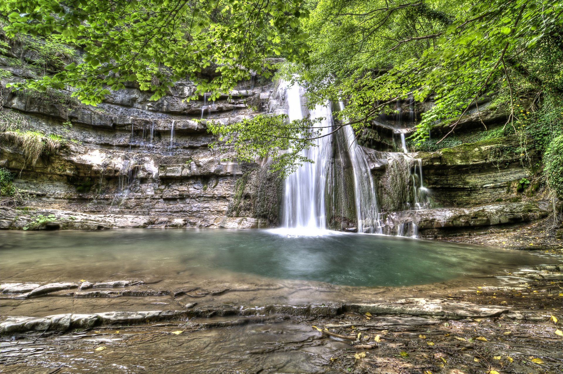 cascada roca árboles