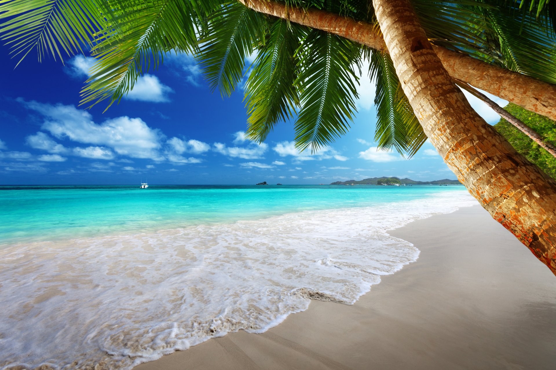 tropisch paradies strand küste meer blau smaragd ozean palm sommer sand urlaub tropen sonne insel küste palmen