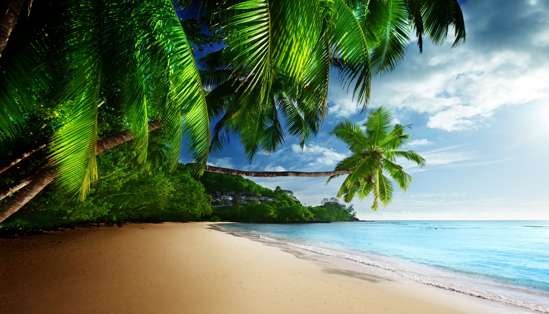 tropical paradise sun beach coast sea sky blue emerald ocean palm summer sand vacation tropics coast palm tree