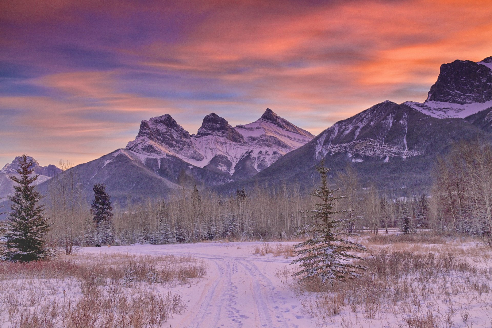 mountain forest road snow winter