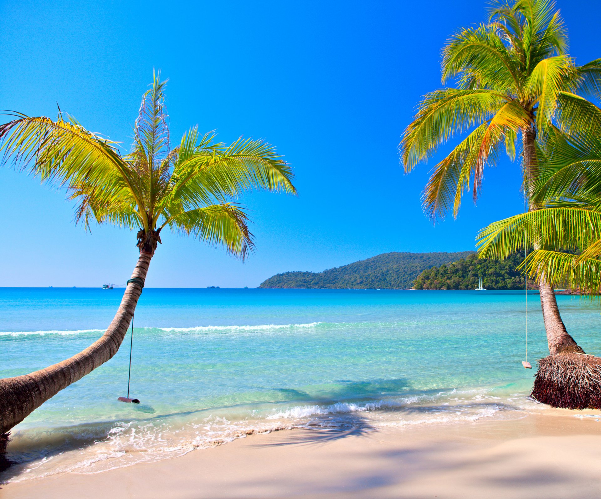 tropical paradise beach coast sea blue emerald ocean palm summer sand vacation tropics sun island shore