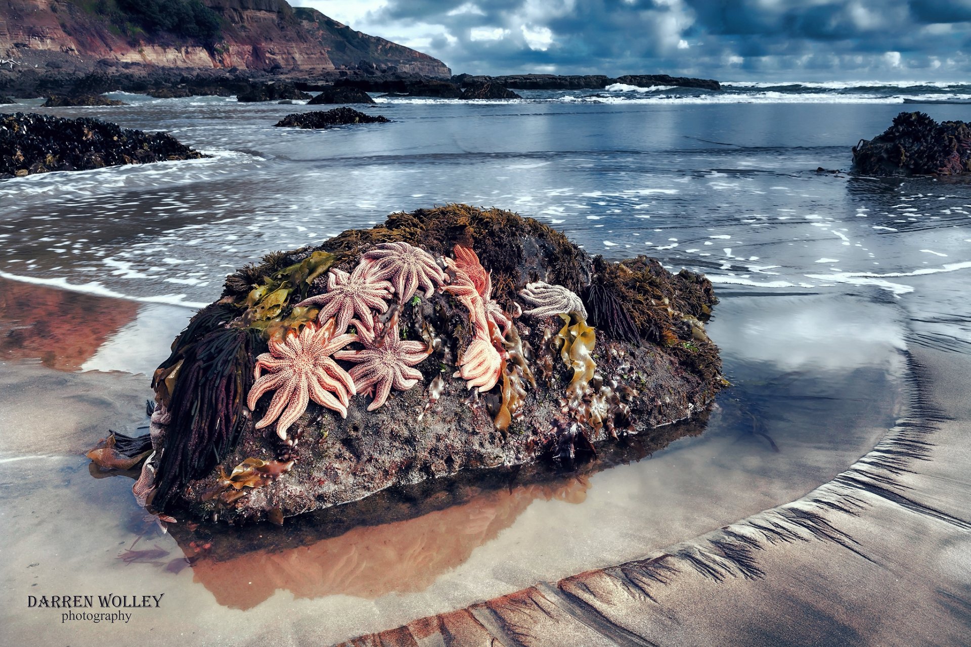 neuseeland nordinsel bay of plenty bucht von plenty maori bay strand ozean steine felsen