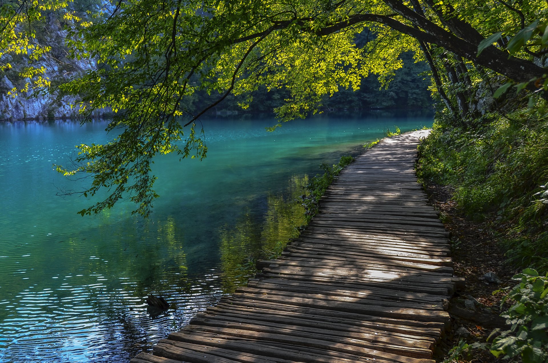 croacia lagos de plitvice árbol camino equipaje agua verano