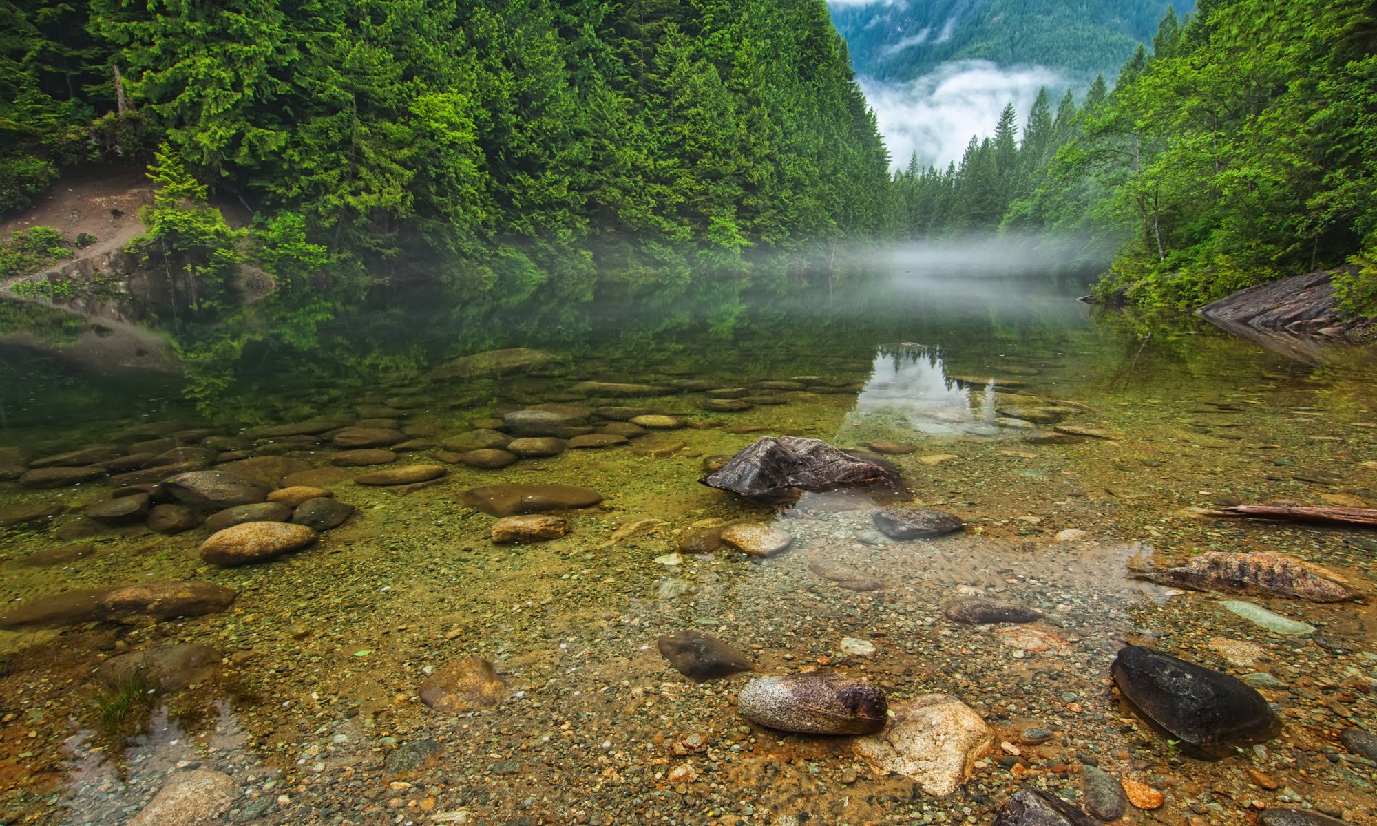 colombie-britannique canada montagnes forêt arbres rivière lac pierres brouillard