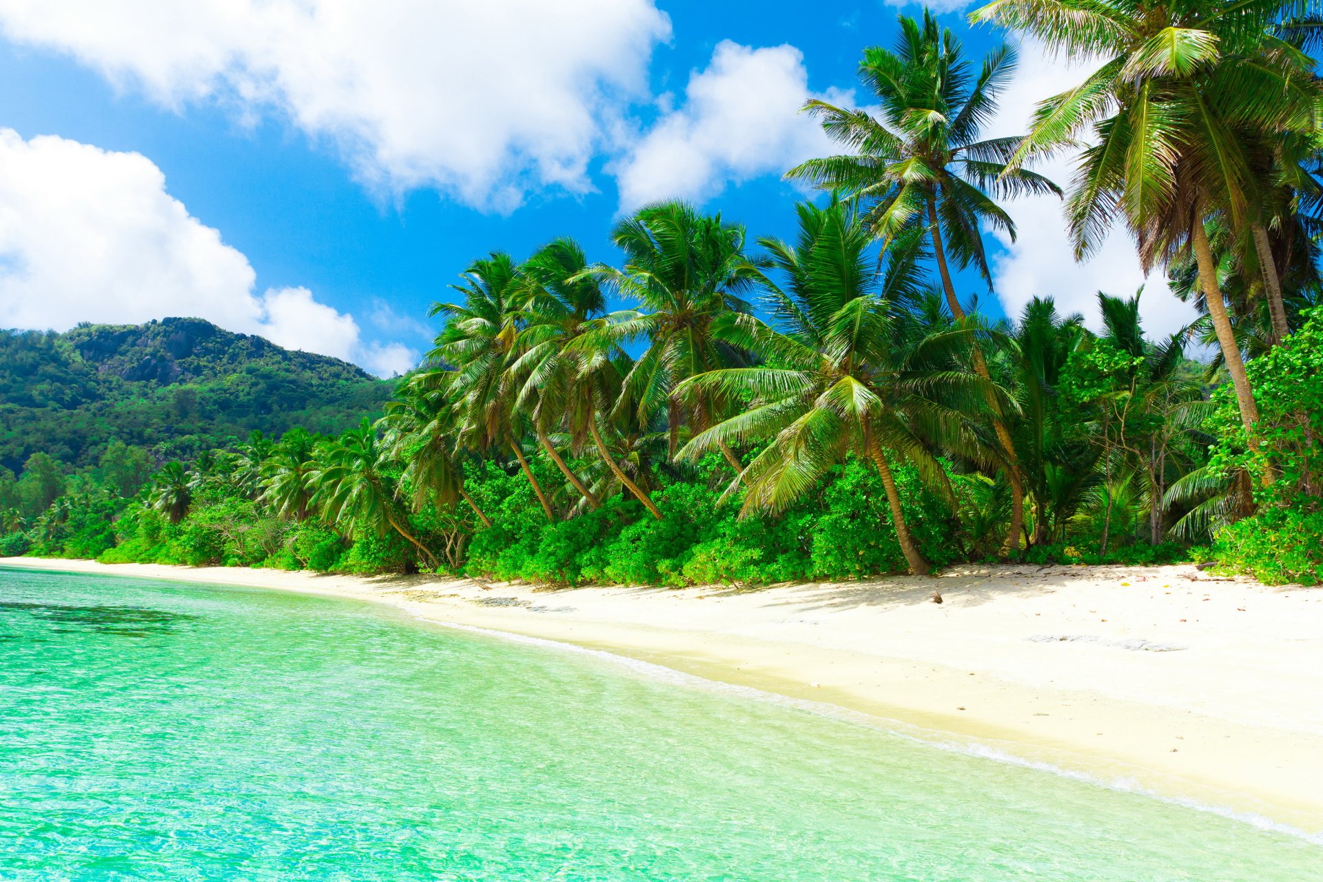 tropisch paradies strand küste meer blau smaragd ozean palm sommer sand urlaub tropen sonne insel küste palmen