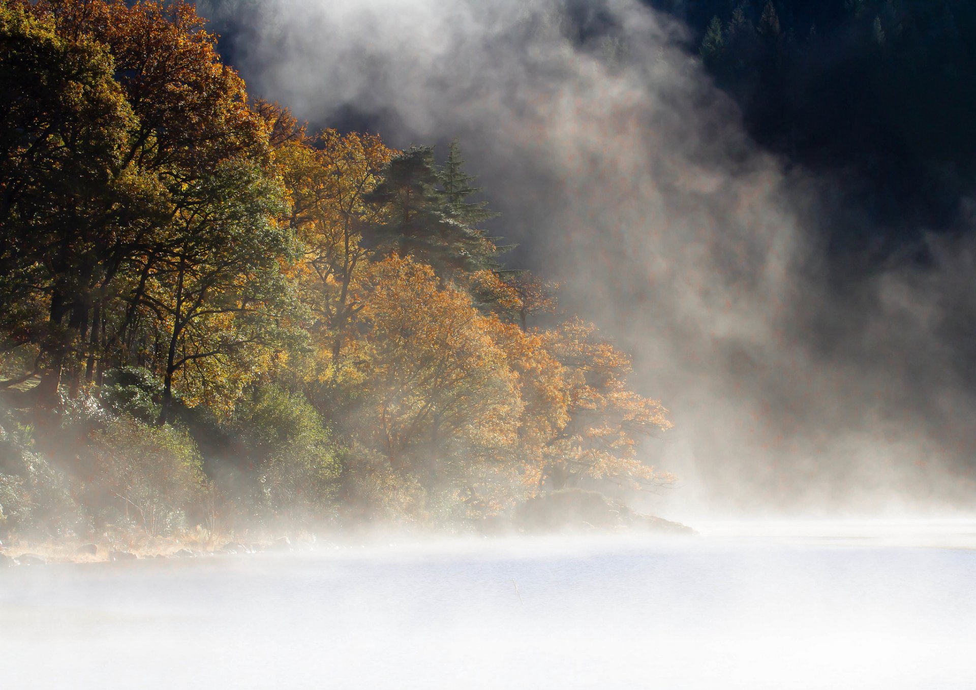 montañas bosque lago niebla