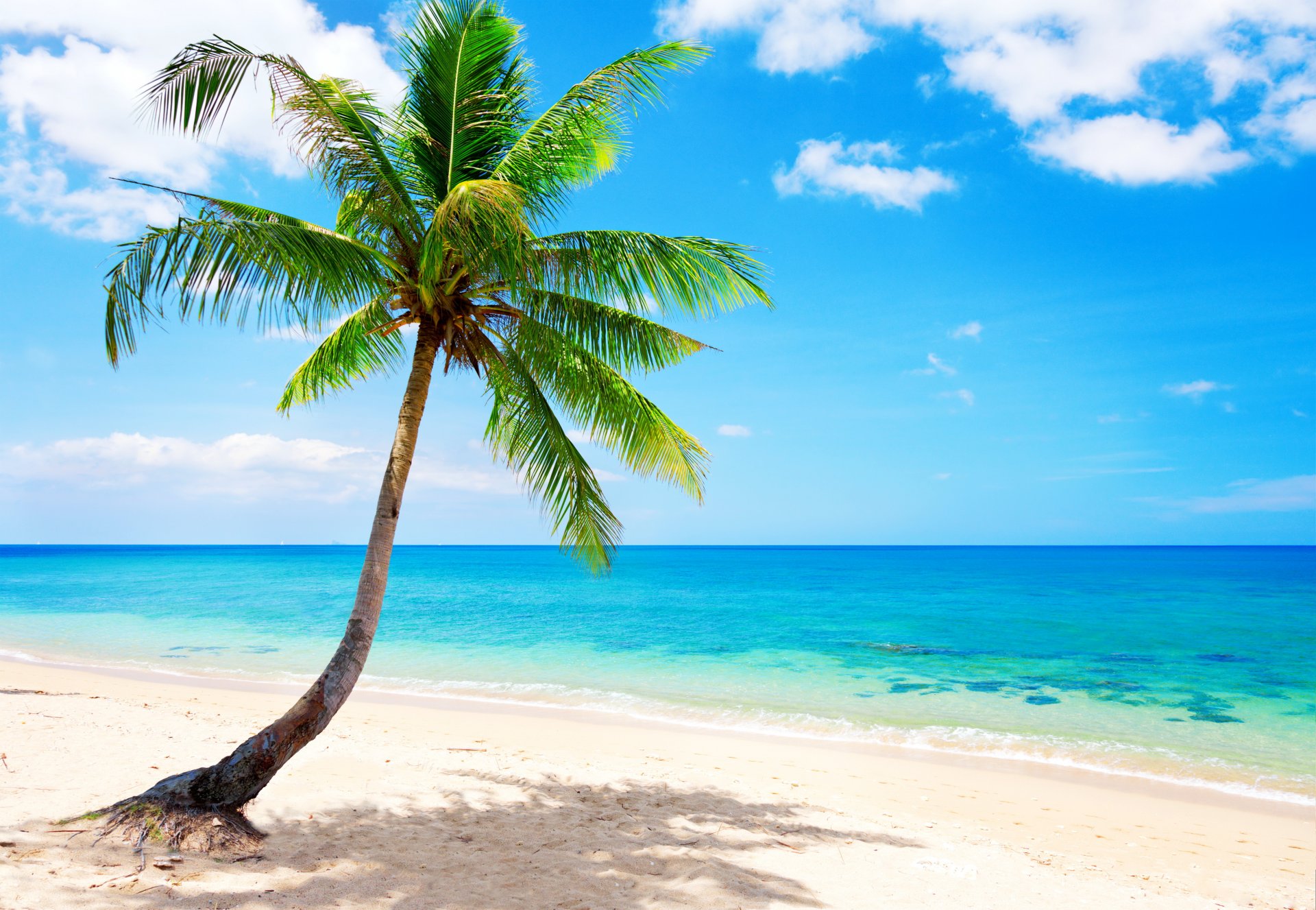 tropical paradis plage côte mer bleu émeraude océan palm été sable loisirs tropiques soleil île rivage