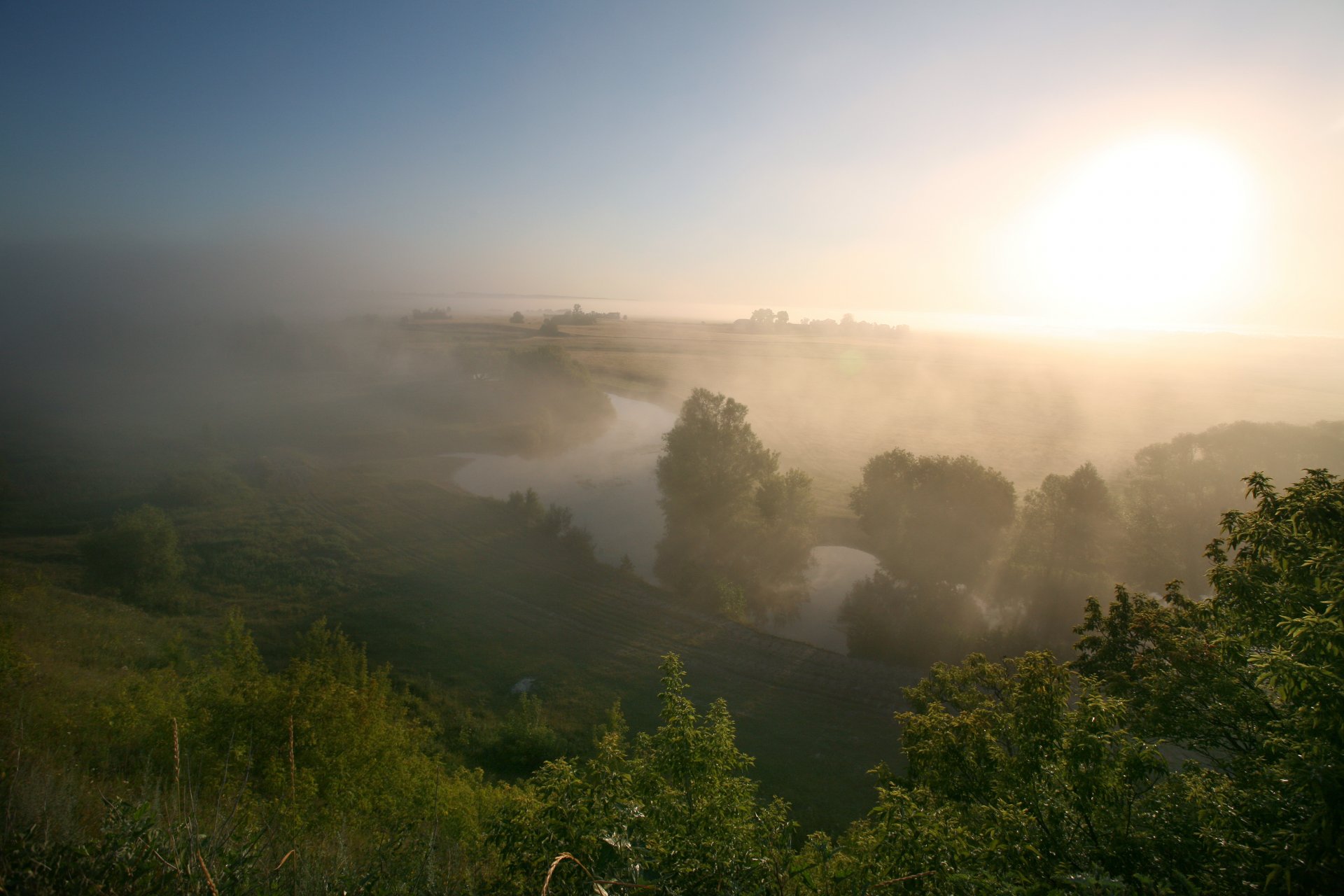 mañana niebla prado río verano