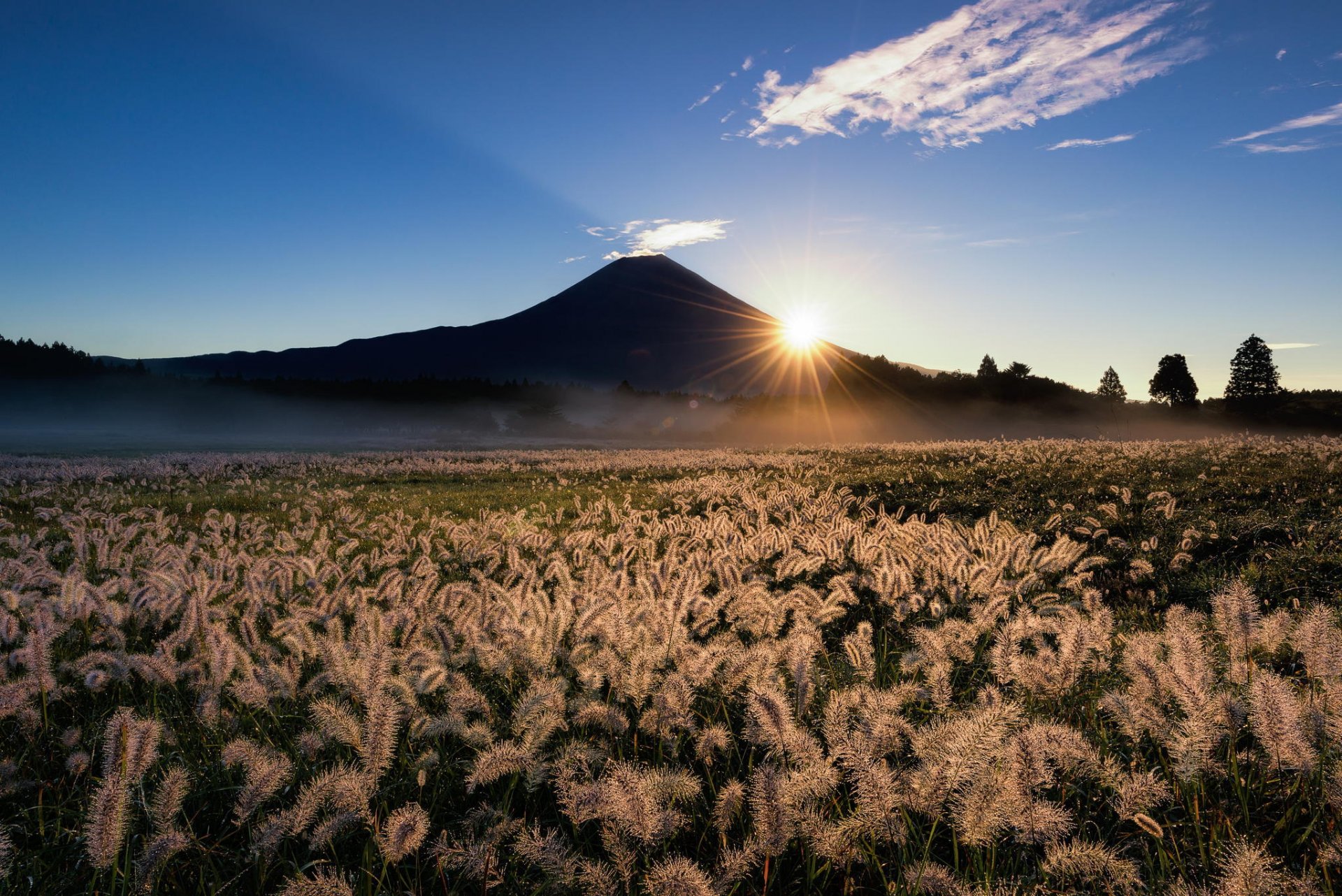 japon fujiyama fuji montagne volcan champ épis herbe soleil rayons ciel nature