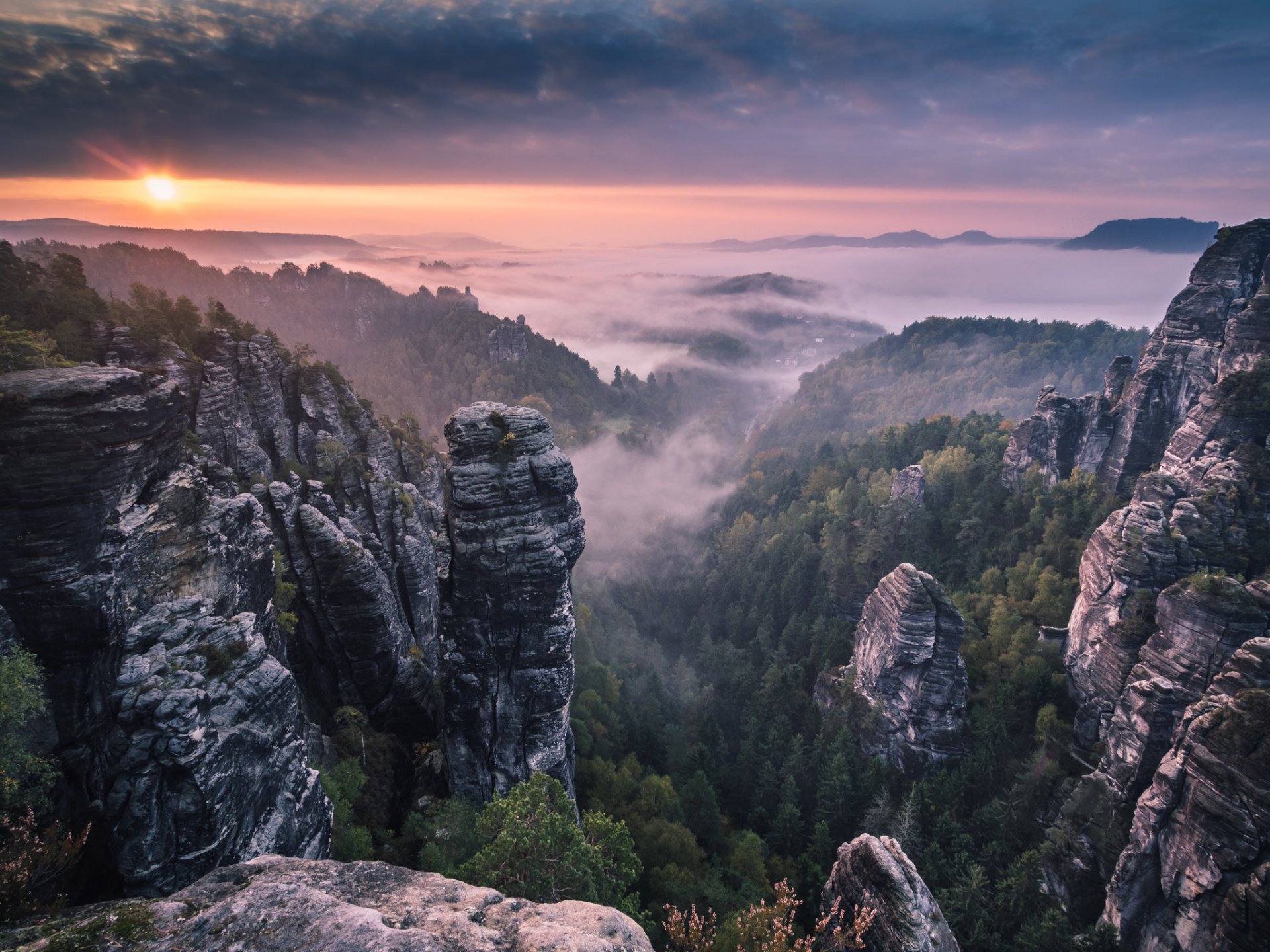 mountain rock forest fog morning sunrise