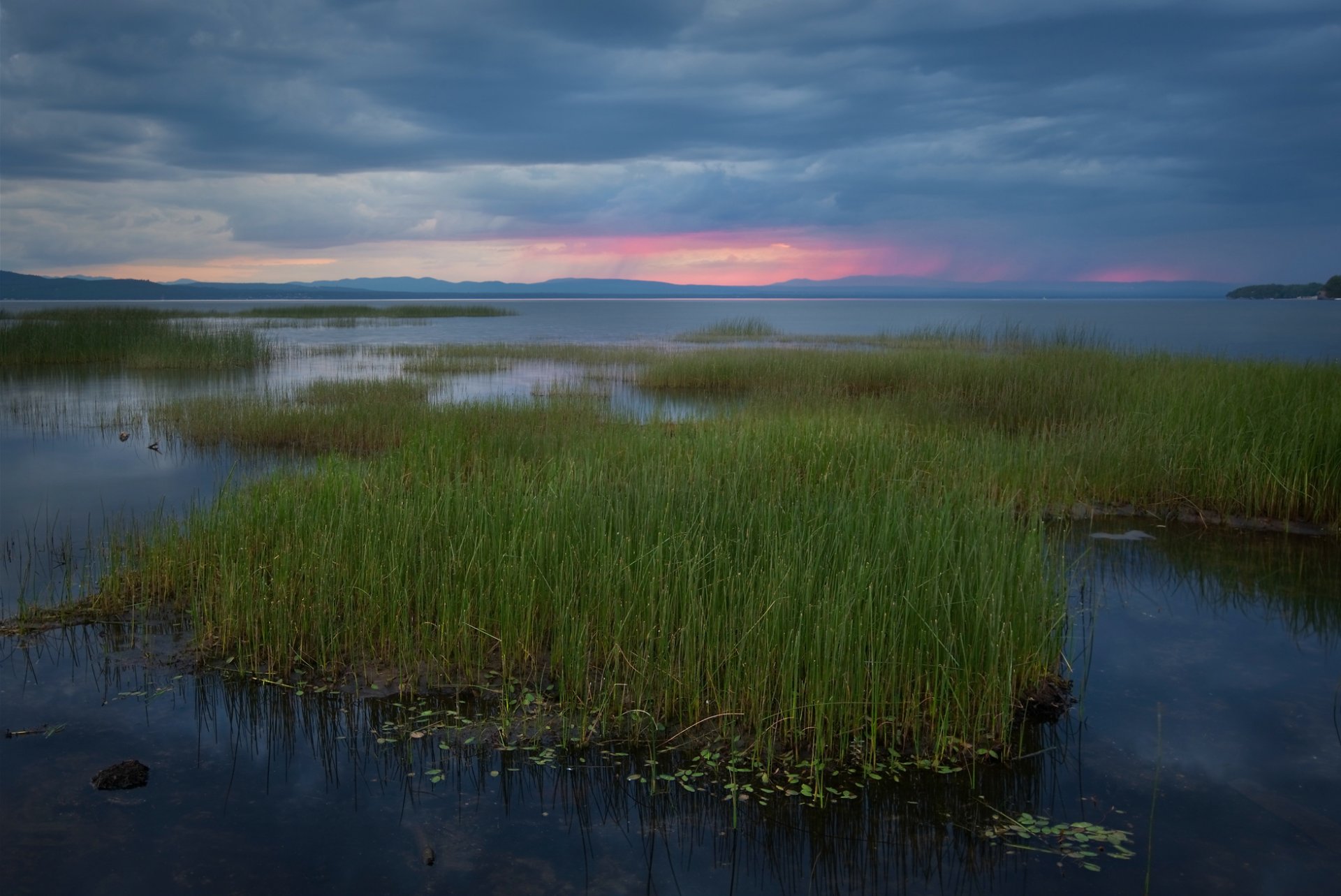 united states vermont lake beach grass reed night sunset blue sky cloud