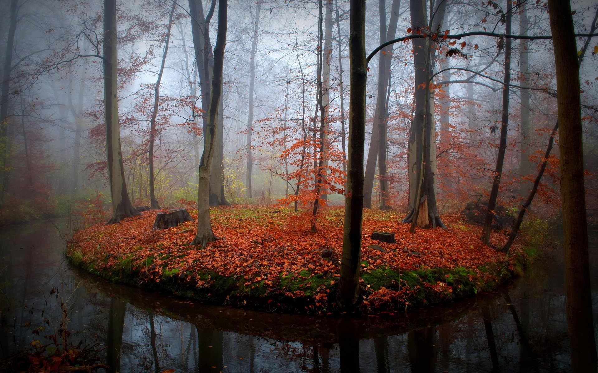 forest river autumn nature