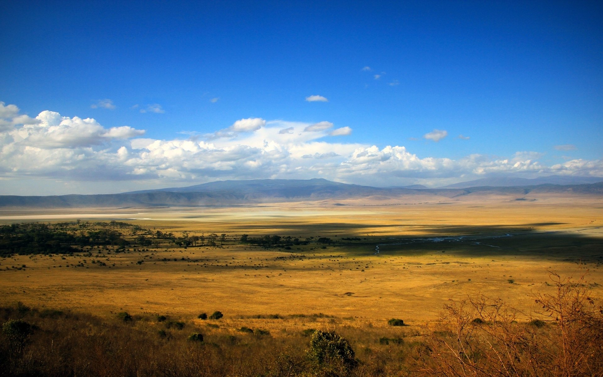 sabana distancia extensión extensión campo estepa río arbustos nubes cielo