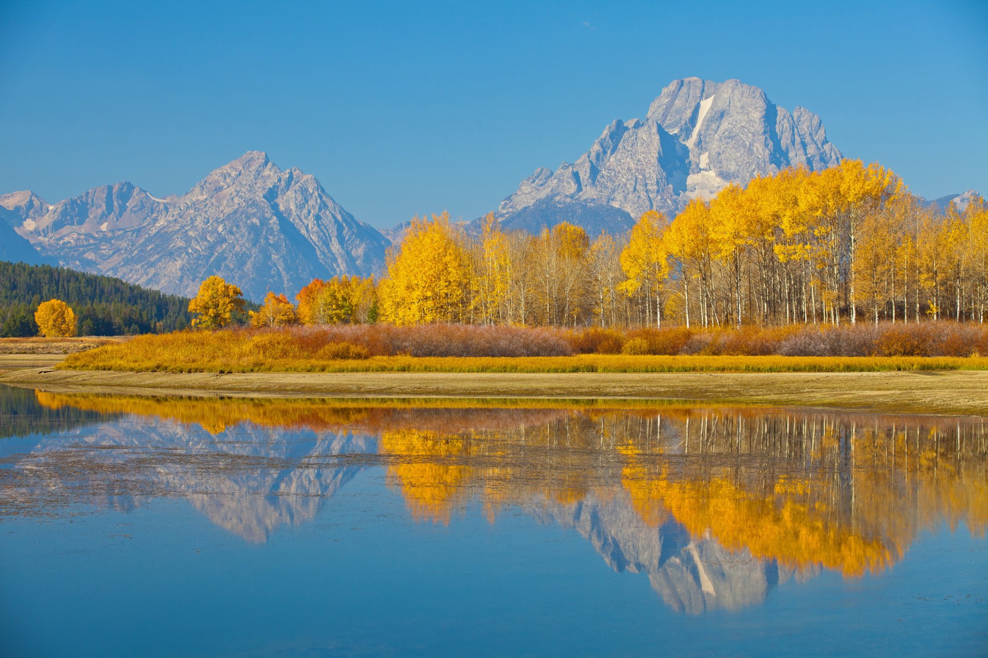 stany zjednoczone wyoming park narodowy grand teton mount moran jezioro natura jesień drzewa